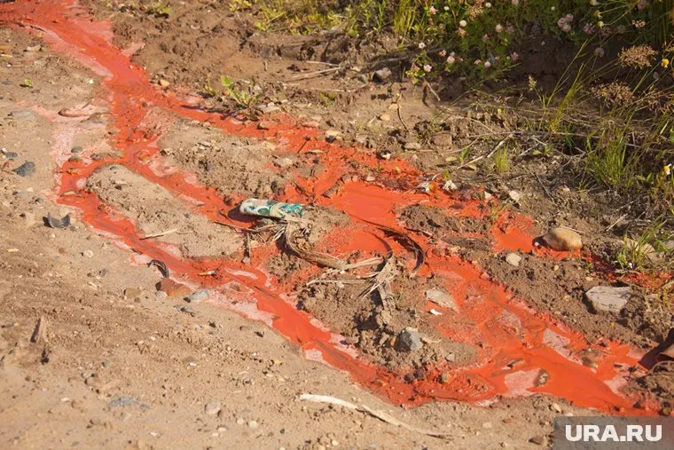 МИД РФ выразил протест из-за облитого краской посла РФ в Варшаве