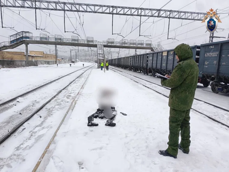 Место, где обнаружили тело Екатерины