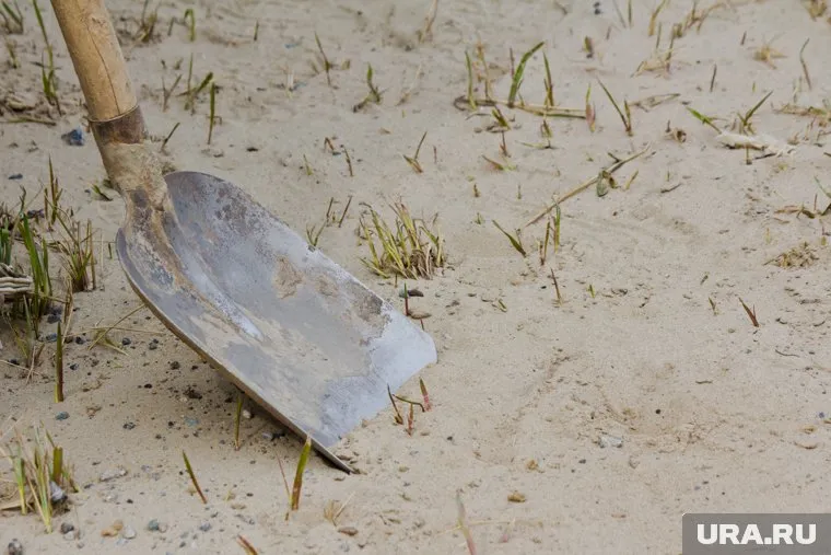 Артефакт откопали на пляже (архивное фото)