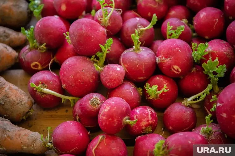 Десятки тонн редиса оказались на свалке