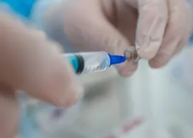 Жители ЯНАО обеспокоены отсутствием вакцины от клещевого энцефалита в городе