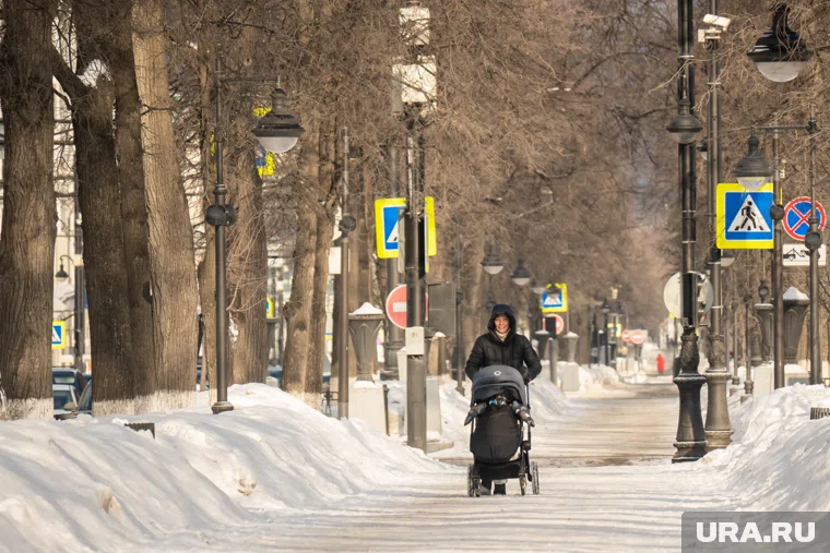 Работающие мамы Ямала назвали самые нужные меры поддержки от работодателей