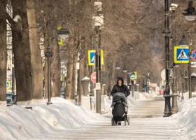 Ямальские мамы рассказали о потребностях в работе