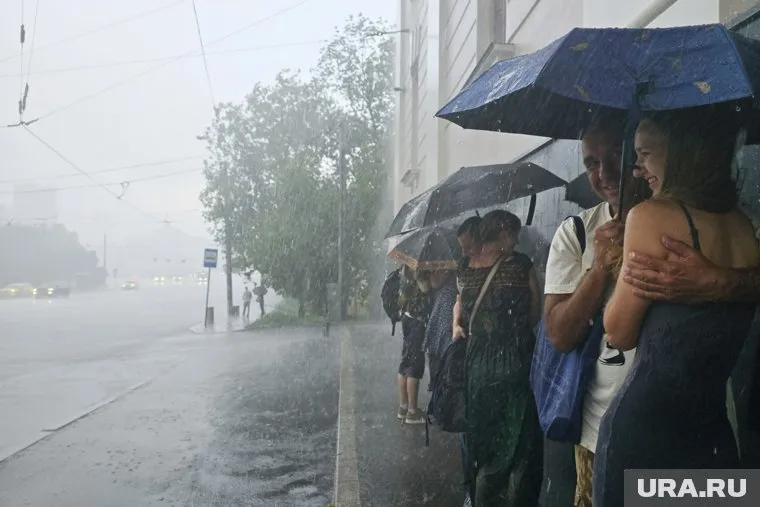 Дожди в регионе прогнозируются до конца недели