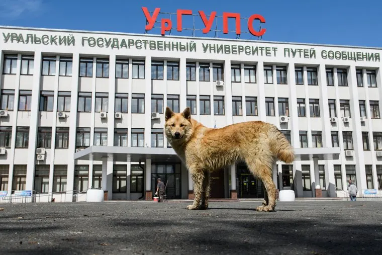 Сорок шестой день вынужденных выходных из-за ситуации с распространением коронавирусной инфекции CoVID-19. Екатеринбург