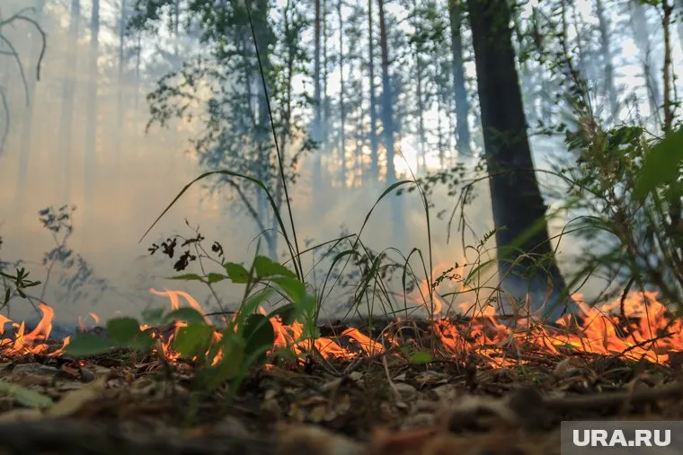 Правоохранители проверяют две версии пожаров