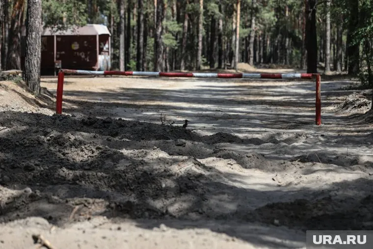 Жителям Курганской области до июня запретили посещать леса