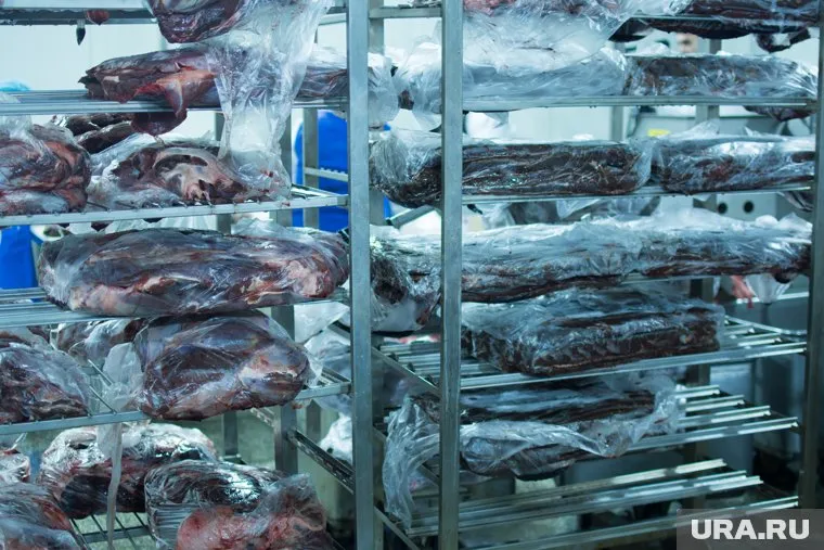 У "Ямальских оленей" могут возникнуть проблемы с продажей оленины. Власти уверяют: зараженное мясо не может попасть в производство предприятия