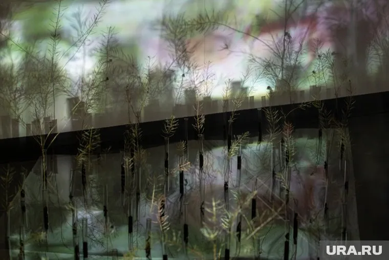 Экскурсию для избирателей проведут по двум историческим экспозициям парка