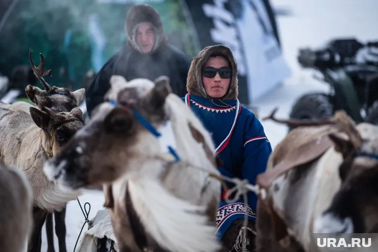 Регистрация участников на День Оленевода в Ямальском районе начнется 3 апреля (архивное фото)