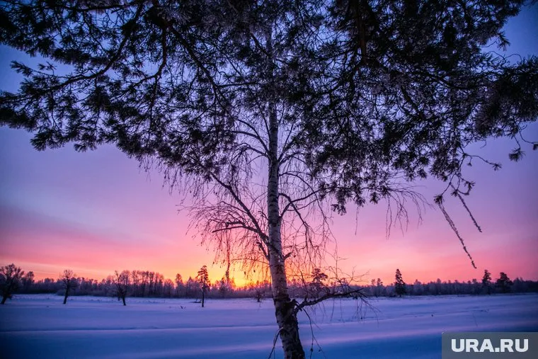 Средняя температура в декабре этого года -6,5 градуса