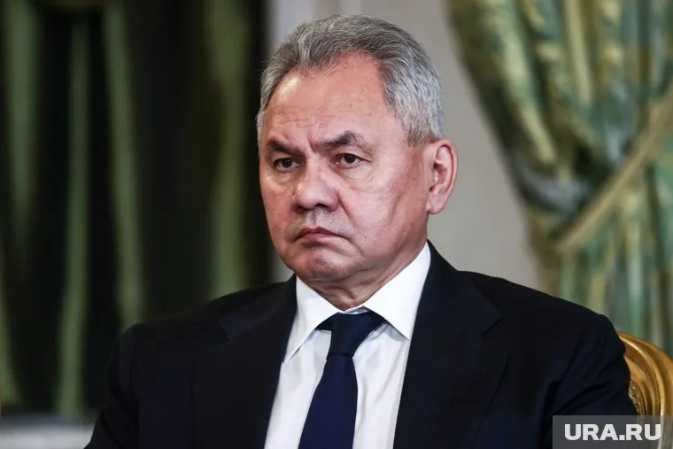 Приказом Путина Шойгу исключен из президентского совета по развитию спорта