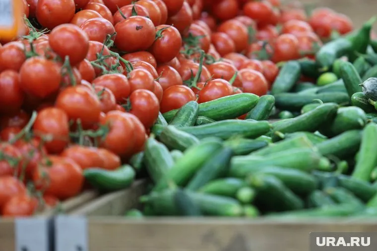 Страны СНГ должны посылать больше продуктов в Россию