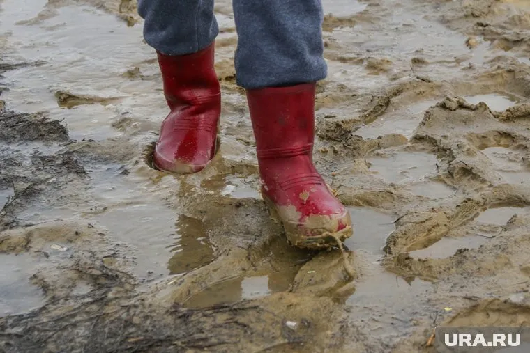 Курганцы водят детей в детский сад по болоту