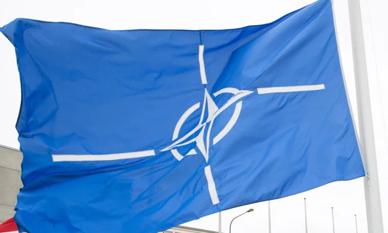 Трампу напомнили, что Гренландия уже входит в НАТО