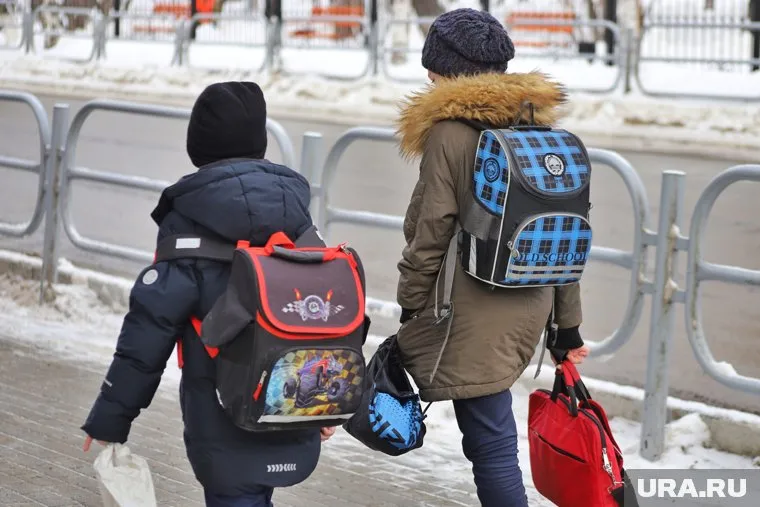 Из-за холодной погоды курганские школьники начнут учебу дистанционно