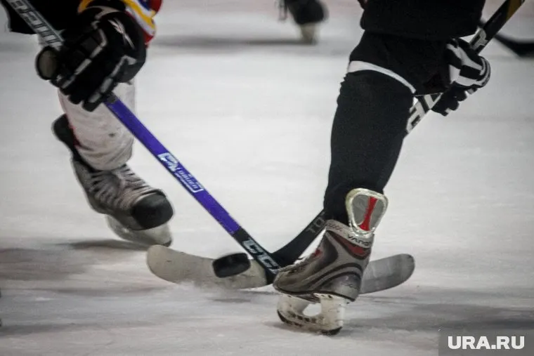 Хоккеистов отбирают по спортивному принципу, сообщили в клубе