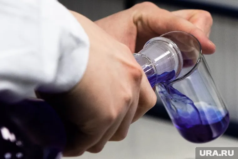 За свои исследования тюменские ученые получат почти 9 млн рублей