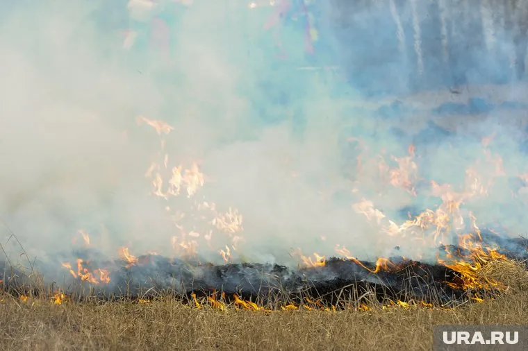 Лесные пожары могут стать летним бедствием Тюменской области