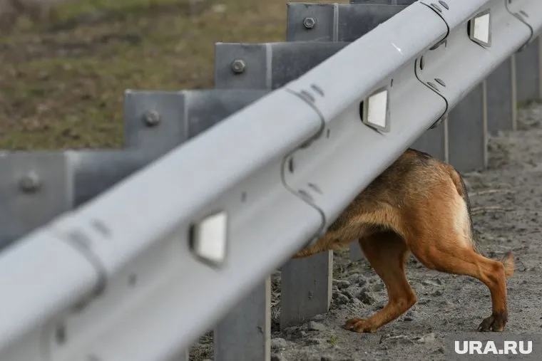 Ремонтировать ограждения будут 25 марта с 09:00 до 18:00