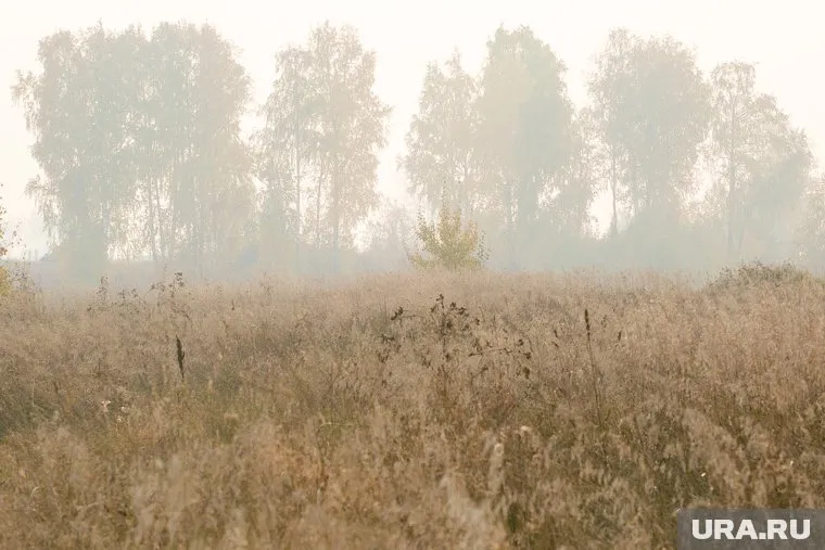 Мужчину, которого выбросили из машины в лесу, оказался пьян