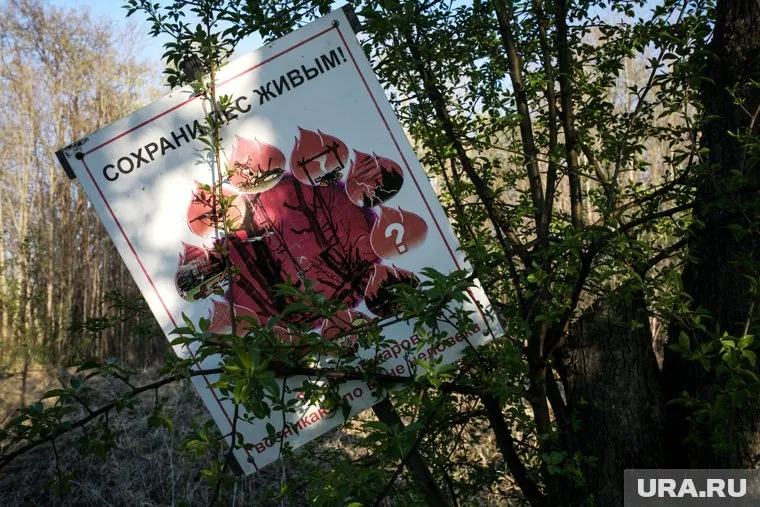 Под Екатеринбургом загорелся лес, где обитают бурундуки