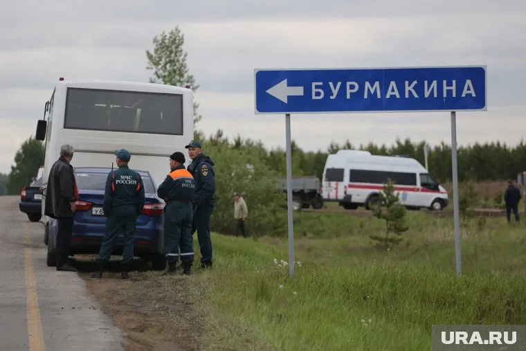 Детей нашли живыми 8 июня в лесу