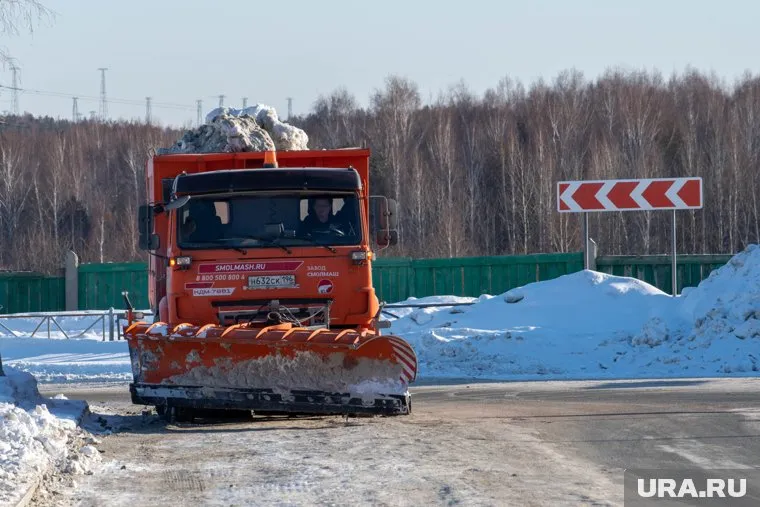 В отдельных районах области зафиксированы сильные гололедные явления (архивное фото)