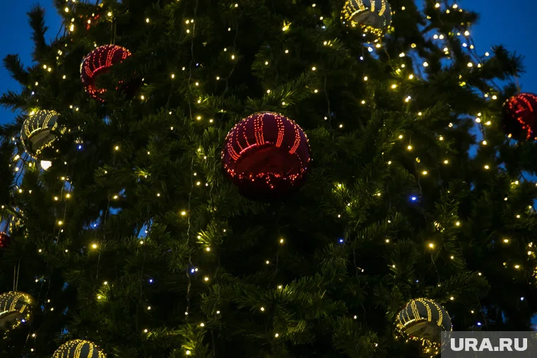 Новогоднюю ель установили в Заозерном районе Кургана