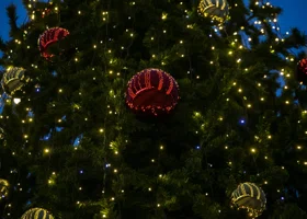 В парке крупного района Кургана впервые появилась новогодняя елка