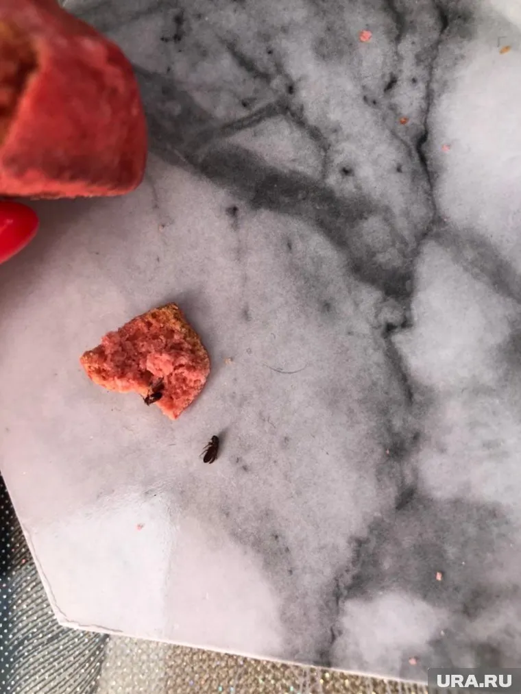 В продукте Сургутского хлебозавода нашли насекомых