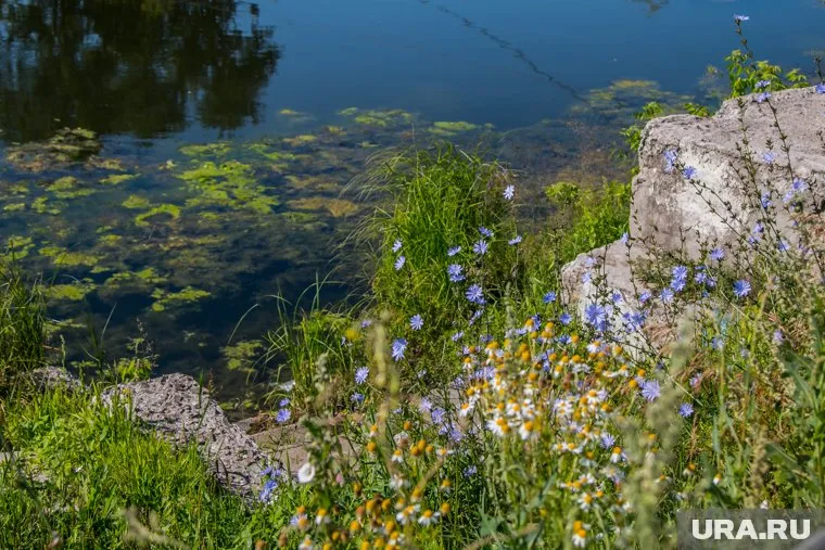 В ХМАО подняли цену на базу отдыха на берегу реки Тромъеган (фото из архива)