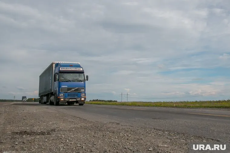 Хозяева пса погибли в аварии в 2004 году