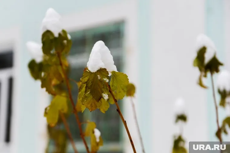 Выходные в регионе начнутся со снегопадов и дневной температуры ниже нуля