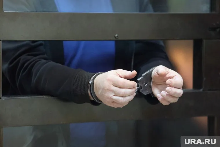 Челябинца приговори к шести годам колонии-поселения