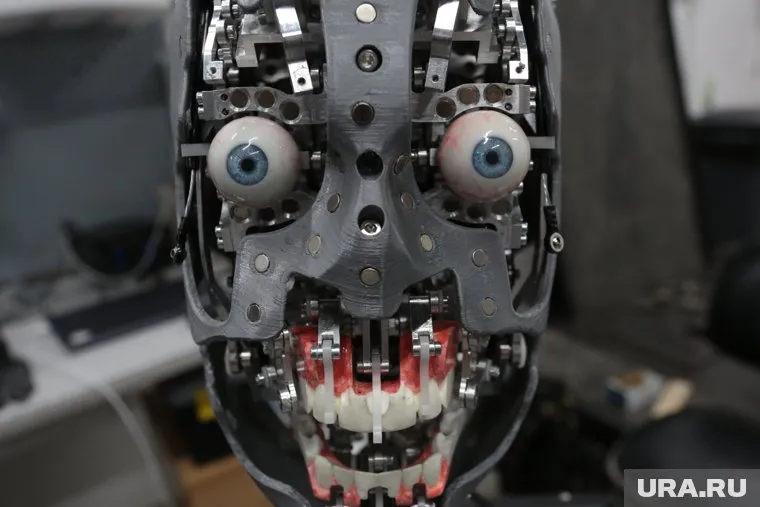 У робота есть две модификации