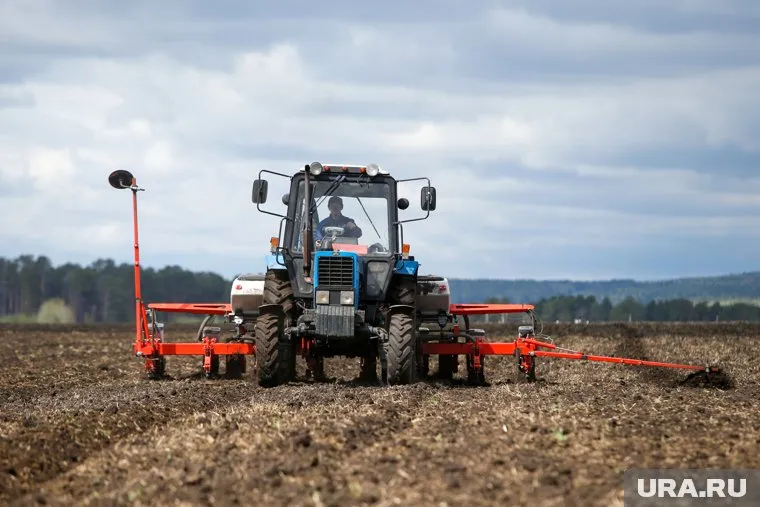 Молодым специалистам в сельской местности обещают помочь в получении стимулирующей выплаты
