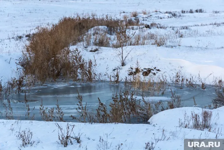 Осенью 2021 года слив отходов обернулся экологическим ЧП (фото из архива)