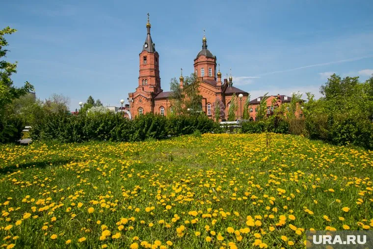 Мужчина пытался украсть святыню посреди белого дня