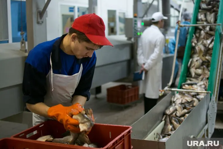 Возможно, продукция из рыбы Ямала появится в магазинах Китая