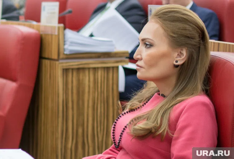 Елена Лаптандер вновь вошла в политику