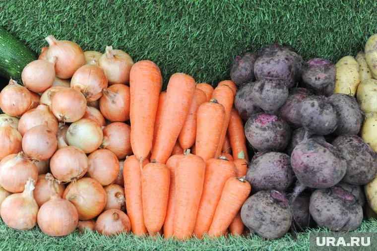 В поправках к закону нет запрета на продажу урожая