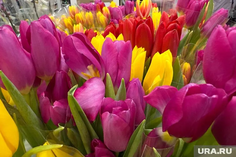 Сервис знакомств Mamba провел опрос о том, каким подаркам 8 марта будут рады тюменки 