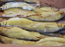 Власти ЯНАО компенсируют предприятиям затраты на закупку рыбы