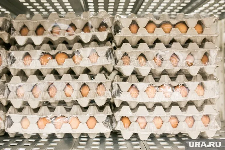 Производители яиц обеспокоены снижением закупочных цен на их продукцию