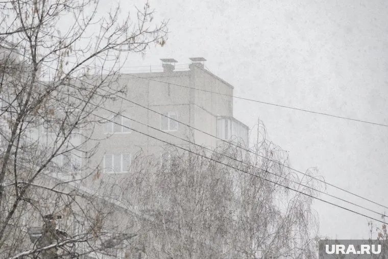 Снегопад накрыл Новгородскую область, что привело к массовому отключению электроэнергии