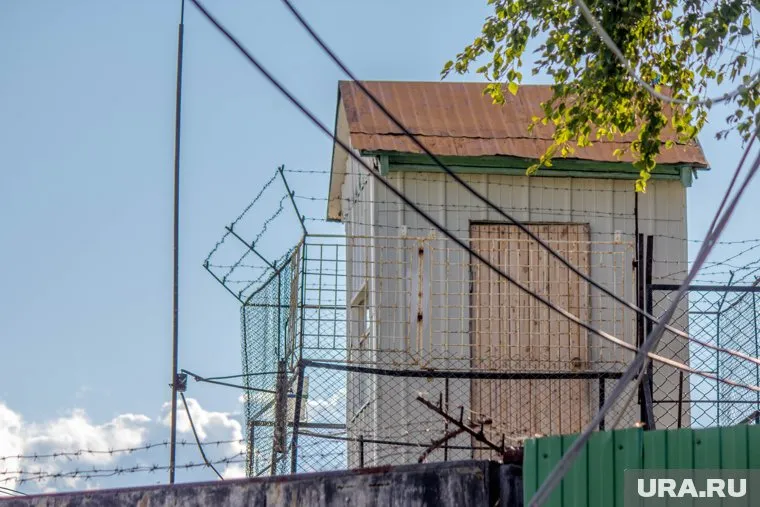Юношу отправили за колючую проволоку на десять лет