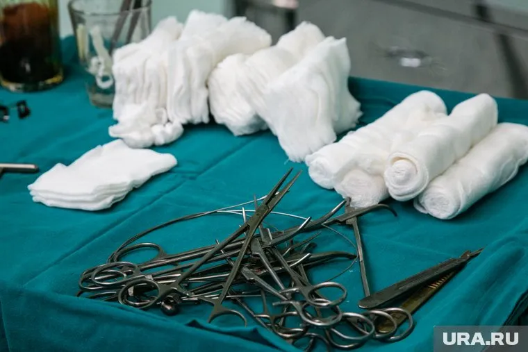 Одна из девушек с собакой обратилась в ветклинику