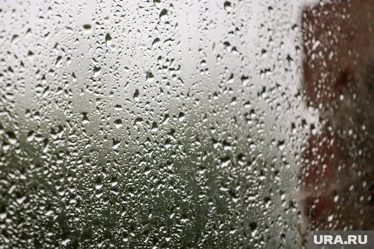 Дожди в Свердловской области закончатся 2 сентября, считает Алексей Пулин