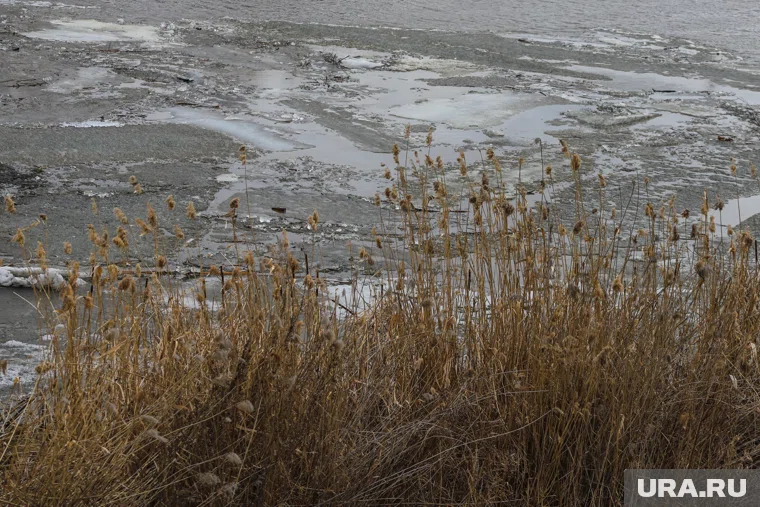 Трагедия произошла в акватории реки Вишеры (архивное фото)